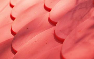 St Helen Auckland plastic roof costs