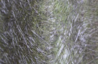 St Helen Auckland fibreglass roof work